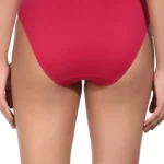 Everyday Lycra Panty For Women