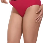 Everyday Lycra Panty For Women