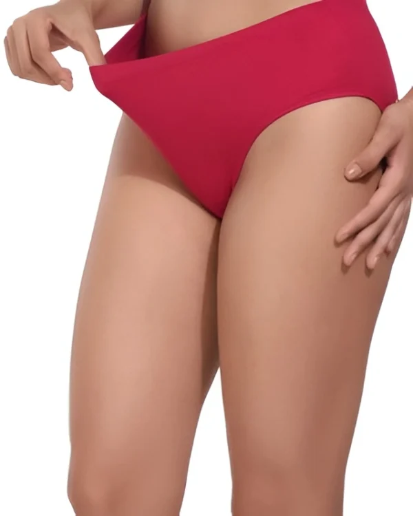 Everyday Lycra Panty For Women