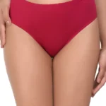 Everyday Lycra Panty For Women