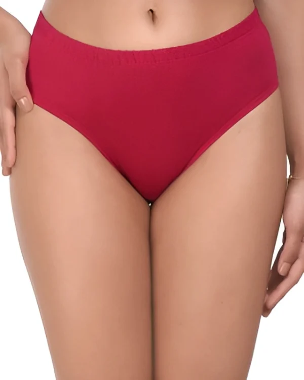 Everyday Lycra Panty For Women