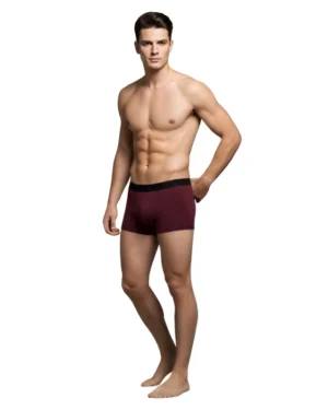 Maroon Micro Modal Underwear For Men