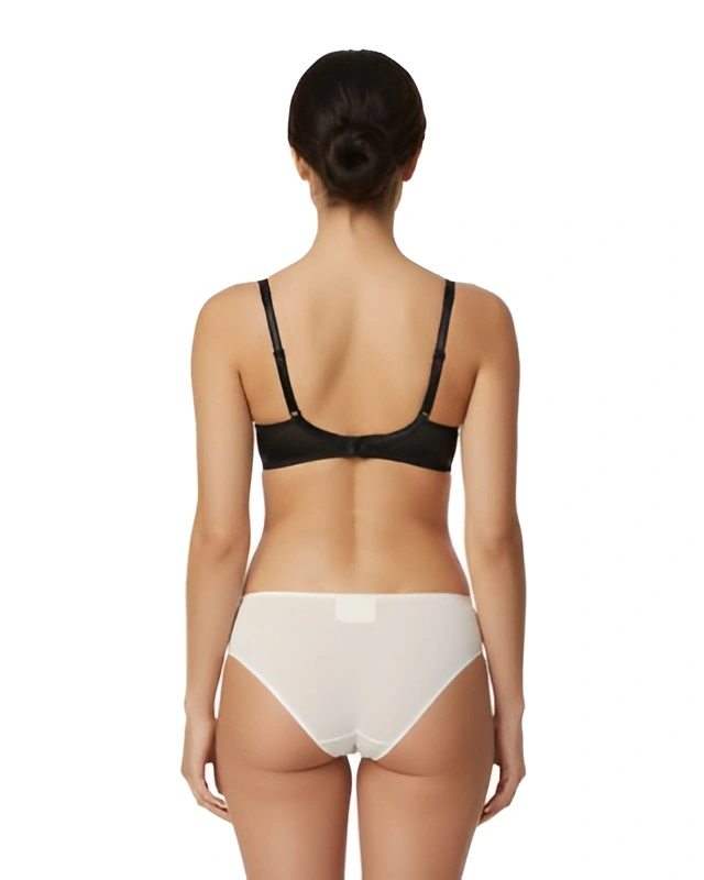 nude transparent low waist hipster panty