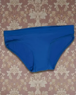 Womens Asian Blue Micro Modal Panty