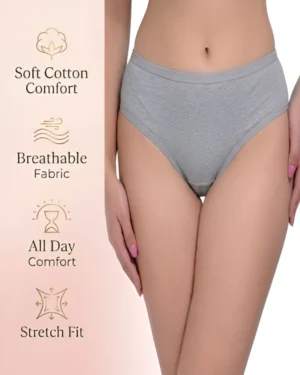 Grey Cotton Brief Panty